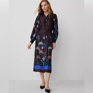 Ann Taylor Floral Botanical Belted Shirt Dress Size 6